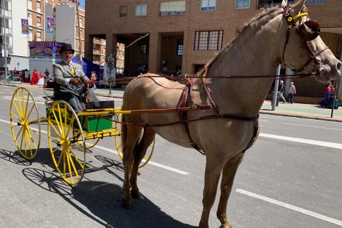 Paseando por la feria